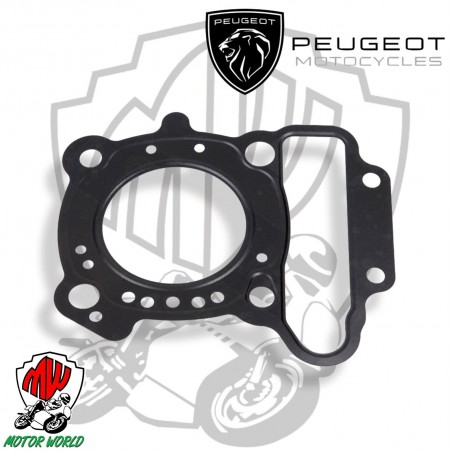 GUARNIZIONE TESTATA TESTA ORIGINALE Peugeot Geopolis 125i H2O 4T E3 2013