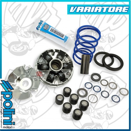 VARIATORE HI-SPEED PIAGGIO EVOLUTION 2 LIBERTY NRG MC3 ZIP STALKER RUNNER DNA SR