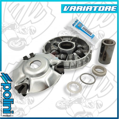 VARIATORE HI-SPEED PIAGGIO GILERA RUNNER 125 180 2T HEXAGON SR 125 150 SKIPPER