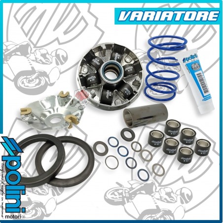 241.749 VARIATORE HI-SPEED PIAGGIO EVO 2 D 16 - 12,5 gradi DNA RUNNER STALKER