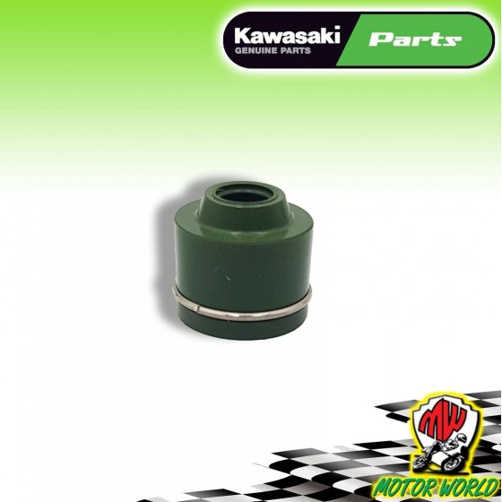 PARAOLIO ASTUCCIO CAPPUCCIO VALVOLE KAWASAKI NINJA ZX-6R 600 1995 1996 1997