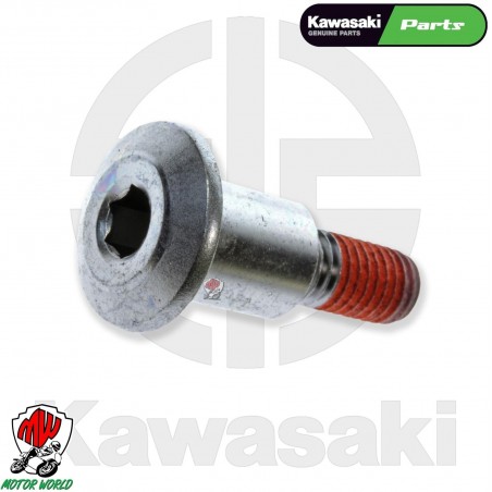 PERNO PER PRESELETTORE CAMBIO ORIGINALE KAWASAKI NINJA ZX 10R 1000 2008 2010