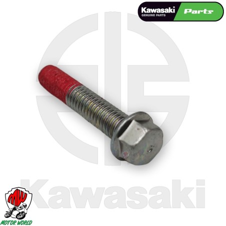 BULLONE PER ATTACCO COPRI MOTORE KAWASAKI Z 900 RS 2023 2024