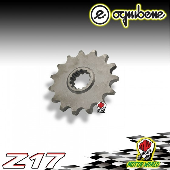 7282 PIGNONE IN ACCIAIO OGNIBENE 17 DENTI SUZUKI GSX-R 1000 A - R 2018 2019 2020