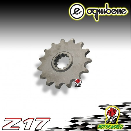 7282 PIGNONE IN ACCIAIO OGNIBENE 17 DENTI SUZUKI GSX-R 1000 A - R 2018 2019 2020