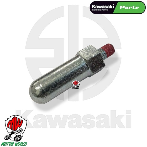 VITE PERNO ANTI STRISCIAMENTO ORIGINALE KAWASAKI NINJA ZX-10R 2004 - 2007